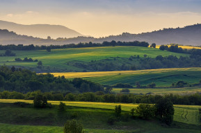 johnnaturephotos wheat fields 4439896 1280